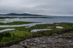Day 12: Reykjavik, Whales and the Golden Circle